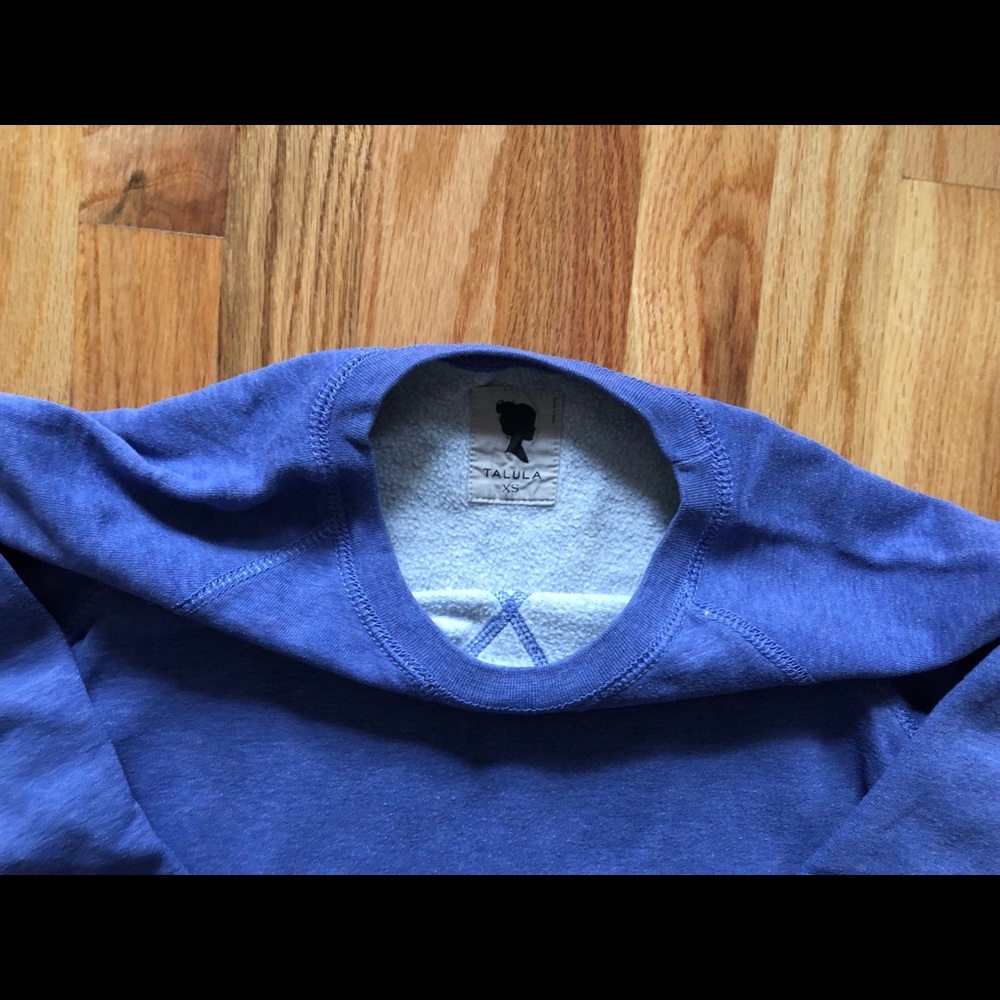 Aritzia sweatshirt